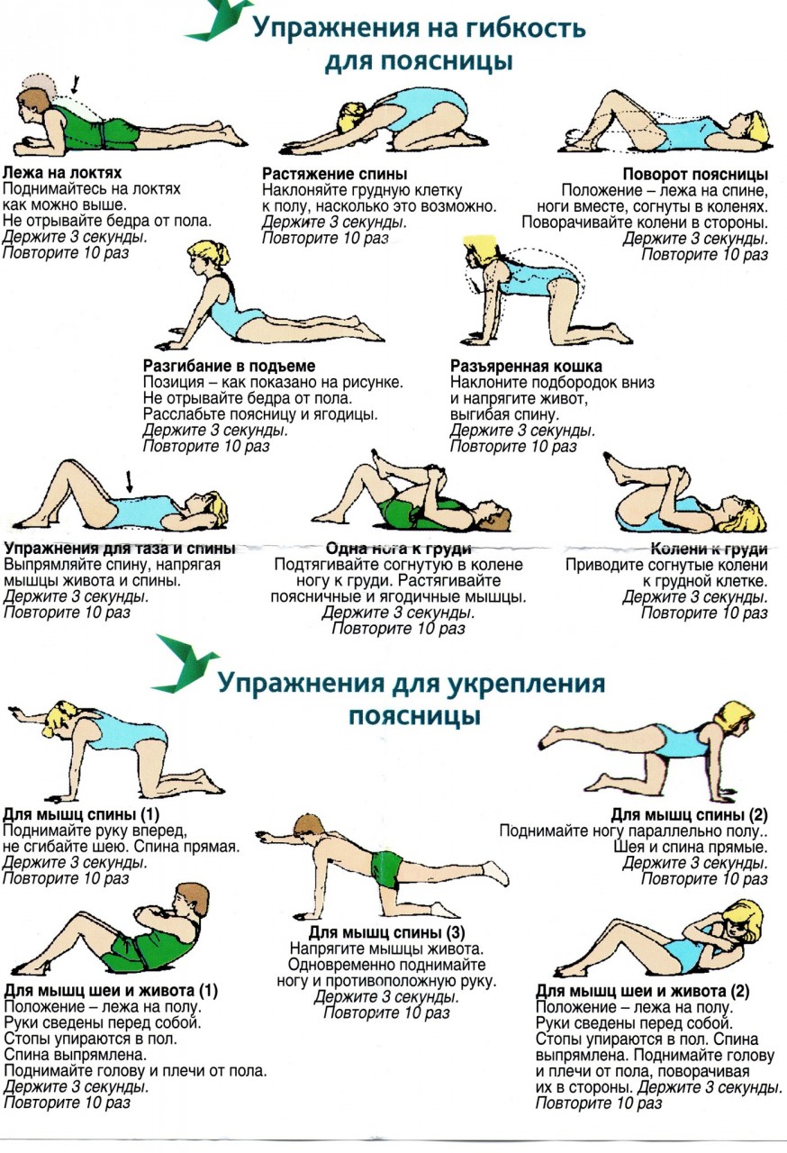 Как укрепить мышцы грудного отдела спины в домашних условиях Как укрепить мышцы грудного отдела спины в домашних условиях