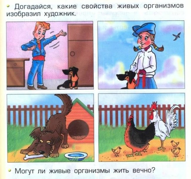 Вот такие учебники! Вот такие задачки... Вот такие учебники! Вот такие задачки...