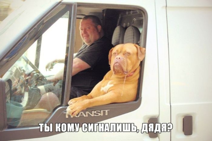 ВЕСЕЛЫЕ КАРТИНКИ ДЛЯ ХОРОШЕГО НАСТРОЕНИЯ. ВЕСЕЛЫЕ КАРТИНКИ ДЛЯ ХОРОШЕГО НАСТРОЕНИЯ.