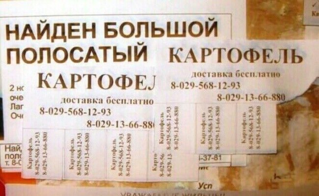 20 объявлений, от мастеров своего дела