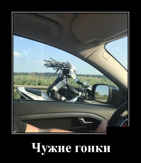 Демотиваторы Демотиваторы