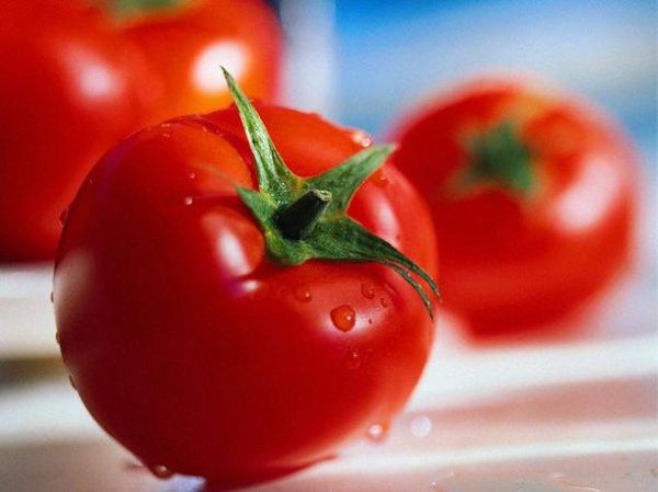 iz_istorii_tomatov_1