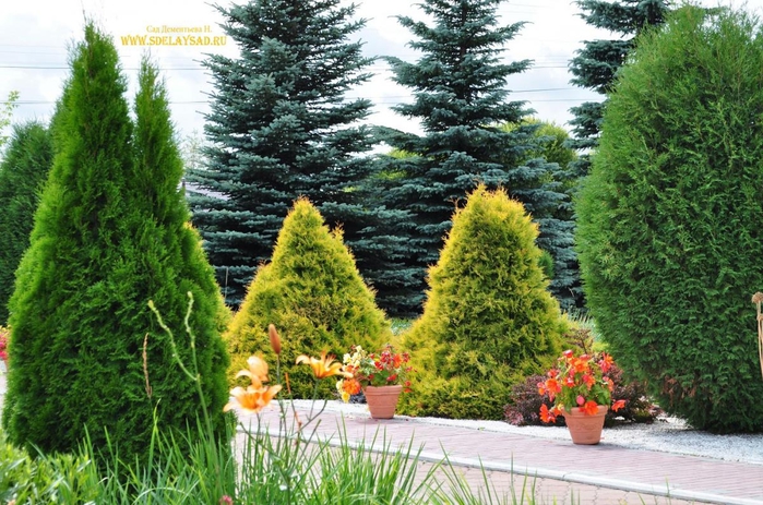 ��� ������� ����������