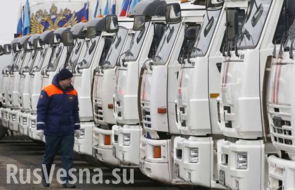 Российские гуманитарные конвои — единственный источник выживания жителей Донбасса, — МИД РФ | Русская весна
