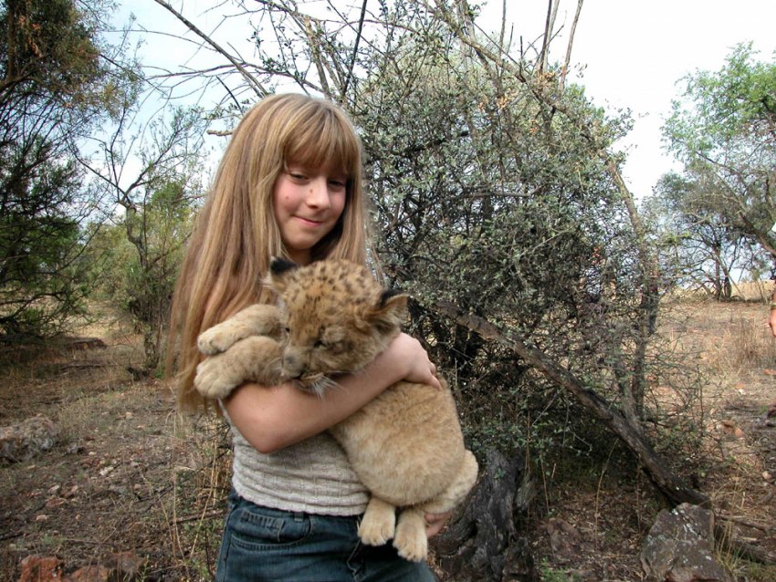 Tippi Degré с львенком
