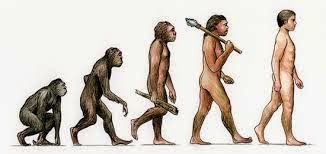 Какие дурные привычки помогли эволюционному выживанию человека