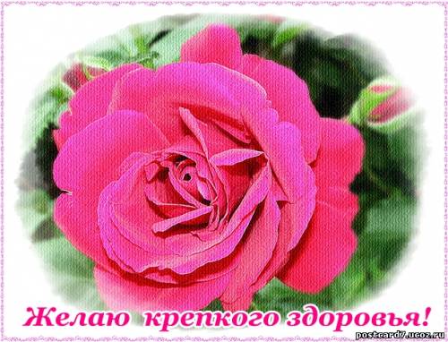 Открытки я желаю всем здоровья Открытки я желаю всем здоровья