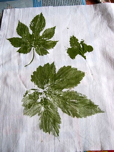 первые оттиски листьев на ткани готовы