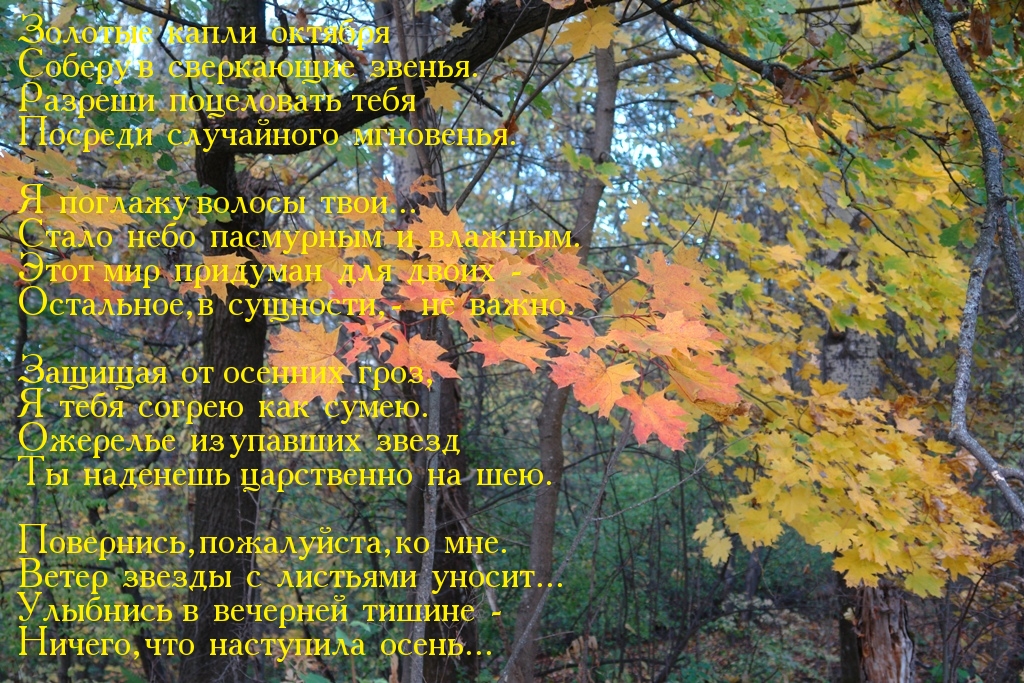 Стих про погоду плохую Стих про погоду плохую