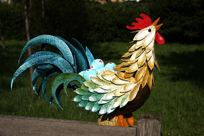 Gallo cristallo[5] (700x466, 104Kb)