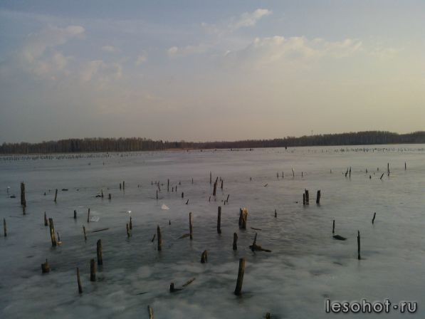 Ивановское ярославская область рыбалка