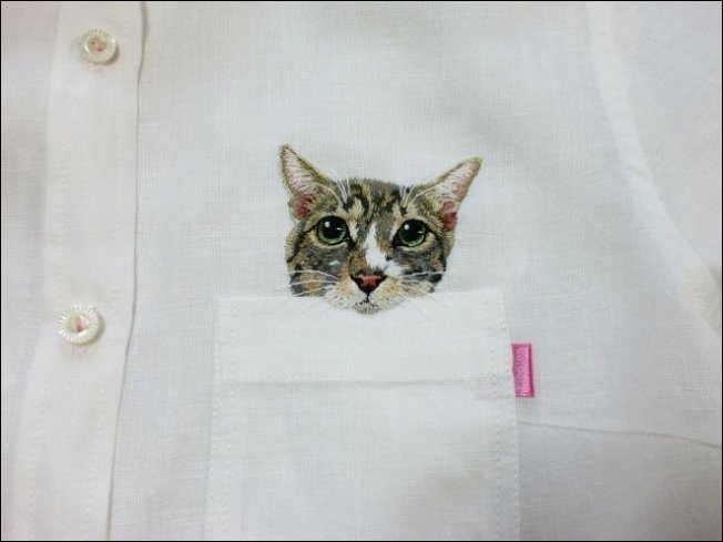 Карманные котята Карманные котята