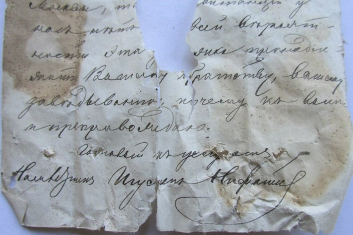 «Птичий архив» под крышей Успенского собора (48 фото)