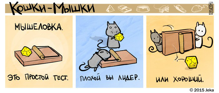 catsrats3