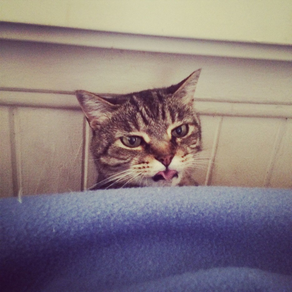 Злой язык от Бориса.