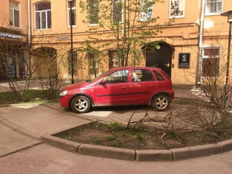 На фига вы на моем парковочном месте кустов насажали?