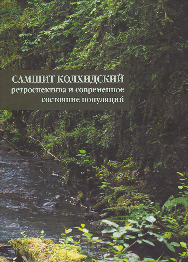 Реликтовый Самшит колхидский на грани исчезновения Реликтовый Самшит колхидский на грани исчезновения