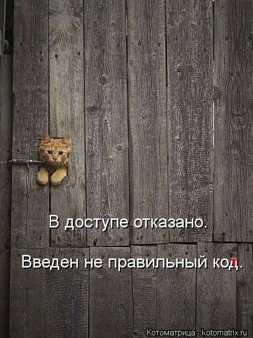 (  )