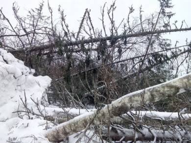 На Таганае в Златоусте неведомой рукой выкосило километры леса