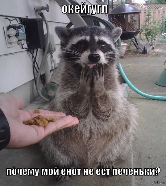 OK, Google! OK, Google! прикол, юмор