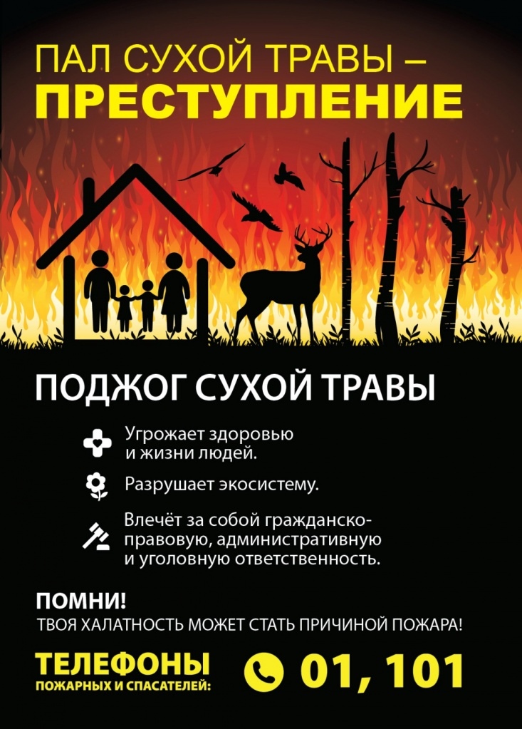 За поджог сухой травы предусмотрены штрафы — МЧС