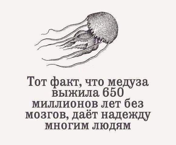 Муж и жена поругались и не разговаривают. Через некоторое время... Муж и жена поругались и не разговаривают. Через некоторое время...
