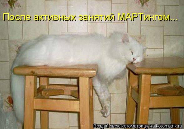 Котоматрица