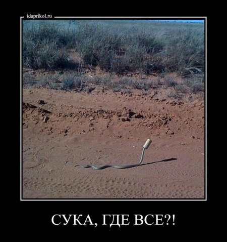 Демотиваторы
