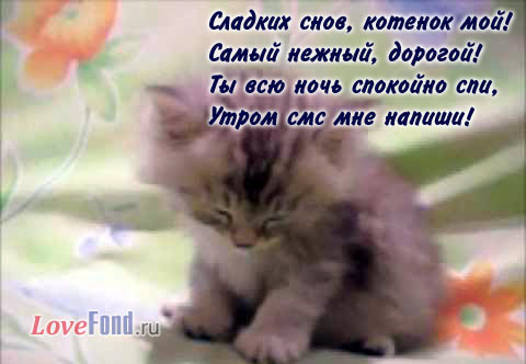 Стих спокойной ночи девушке бесплатно Стих спокойной ночи девушке бесплатно