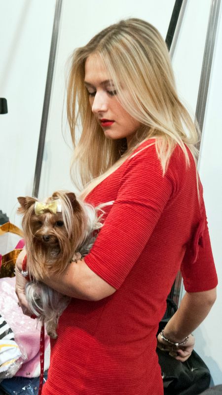 Забавный Backstage шоу маленьких собачек на на «Artpodium 2015» Забавный Backstage шоу маленьких собачек на на «Artpodium 2015»