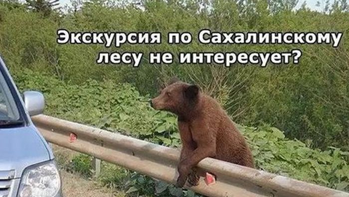 Приколы на Relax.ru от 24 сентября