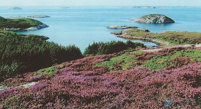 остров, квартира, сравнение, цена