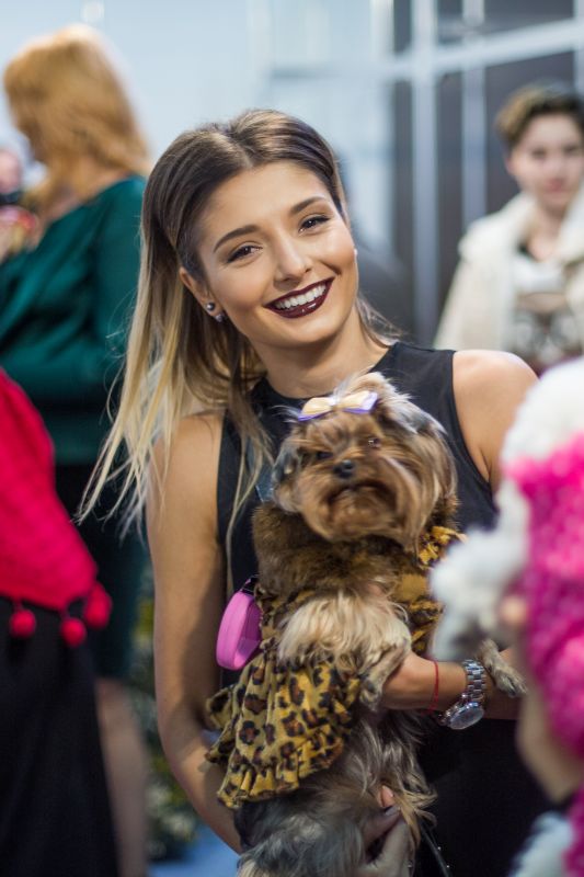 Забавный Backstage шоу маленьких собачек на на «Artpodium 2015» Забавный Backstage шоу маленьких собачек на на «Artpodium 2015»