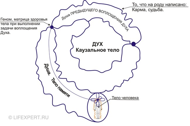 Регрессия в прошлые жизни