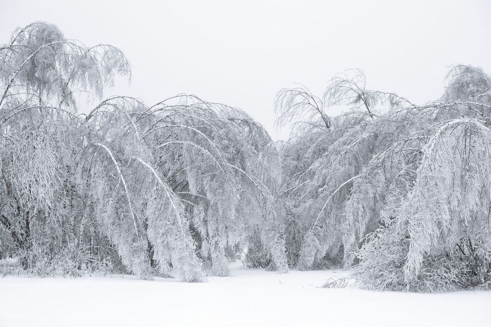 Самые красивые фотографии морозной зимы frozen04 Самые красивые фотографии морозной зимы
