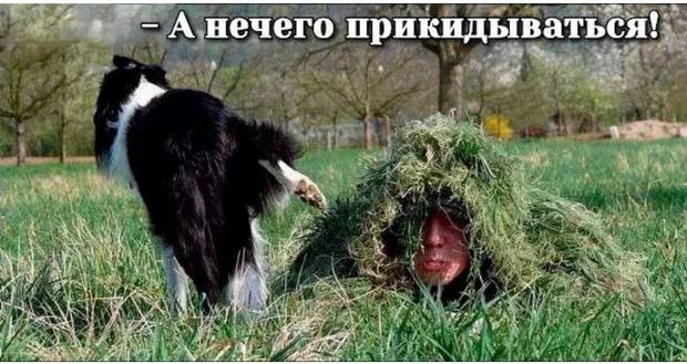 Идет операция. Вдруг гаснет свет. Когда он включается, стол оказывается пустым. Идет операция. Вдруг гаснет свет. Когда он включается, стол оказывается пустым.
