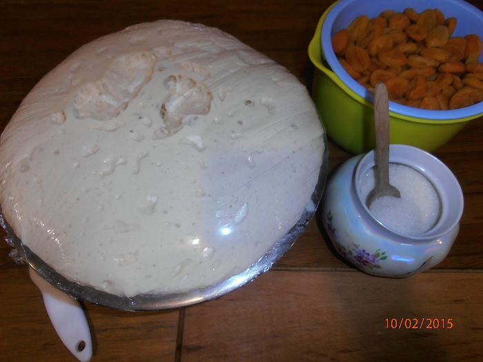 P2100027 (700x525, 217Kb)