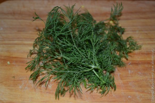 ������ ������ � �������