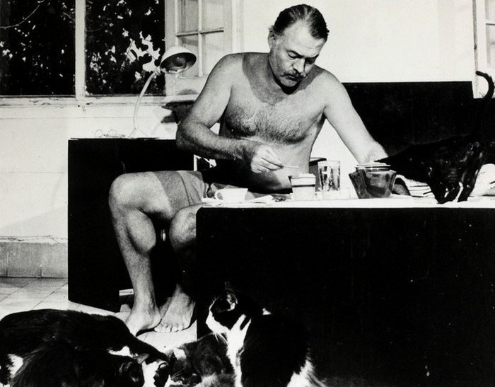 Эрнест Хемингуэй и его коты 