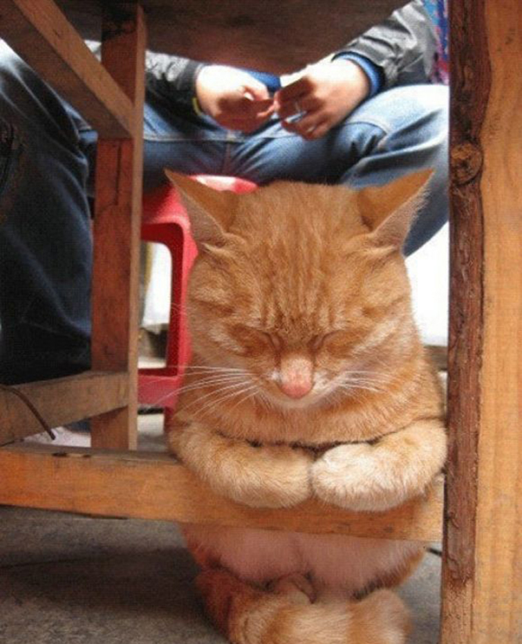 5d938e0e7616a70b9e4b96a55afdfb04