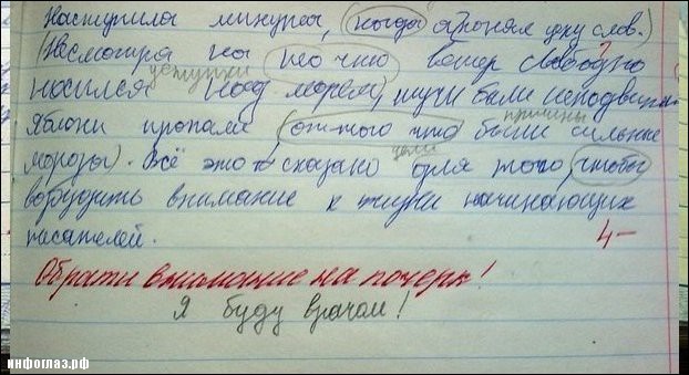 Записи из школьных дневников