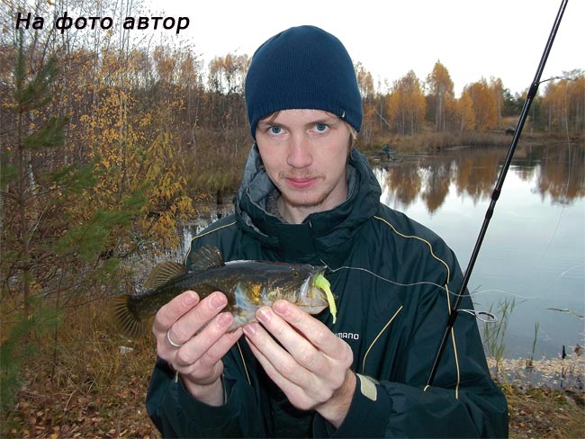 Нижегородский басс. Илья Нужин басс3.jpg