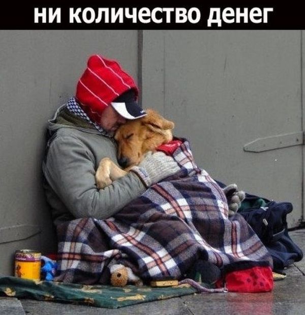 Дружба (18 фото)