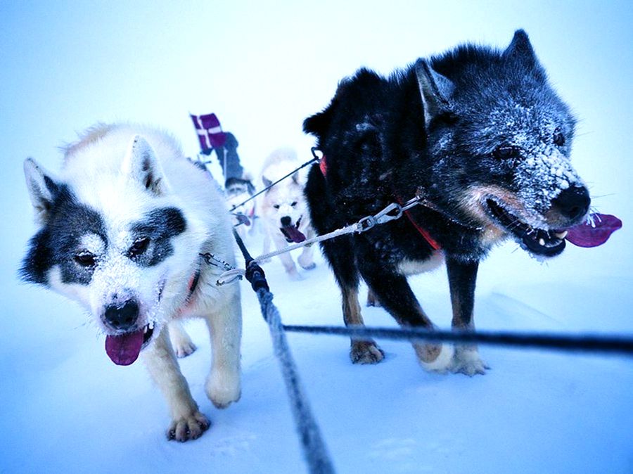 NewPix.ru - ������������ ���������� ��������