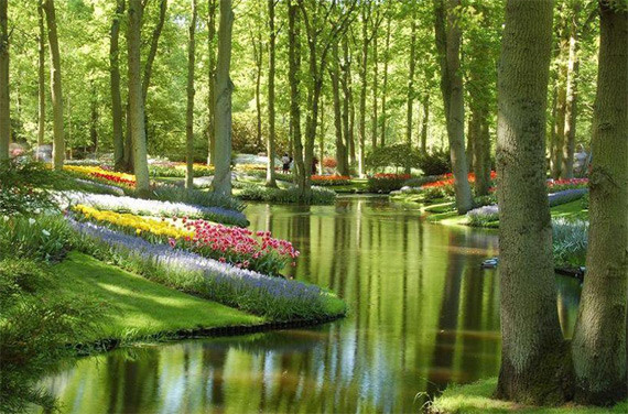 Кекенхоф, Нидерланды природа.красота, факты