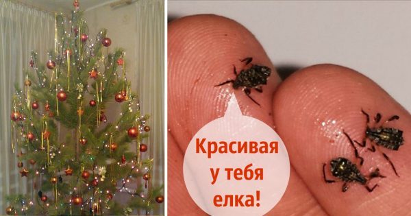 thumb-600x315 (1)