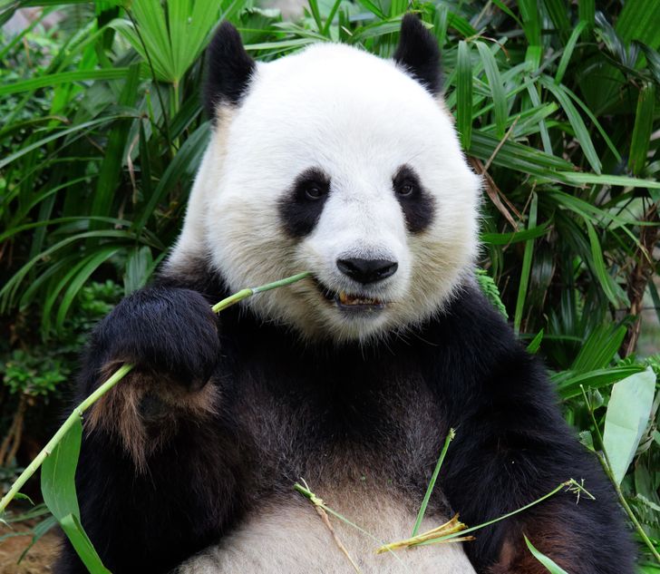 23 факта обо всем на свете, которые сделают из вас настоящего эрудита