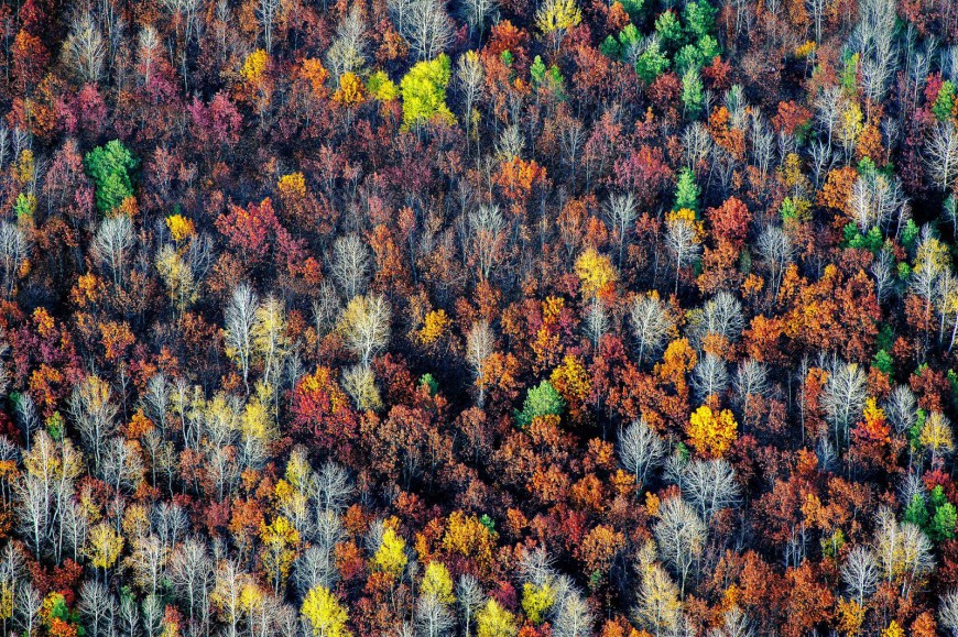 Конкурс я смотрю на фотографию Конкурс я смотрю на фотографию