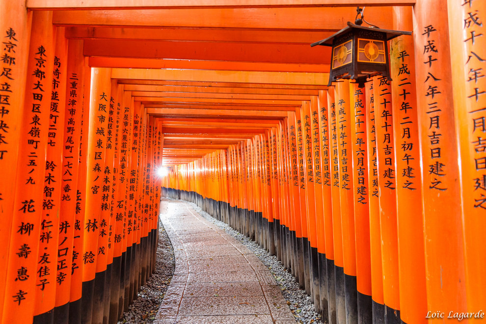 15. Красные тории вдоль дороги к храму Фусими Инари в Фусими путешествие, фотография, япония