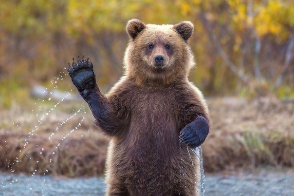 Простите...Извините....Извините...Простите... Простите...Извините....Извините...Простите...